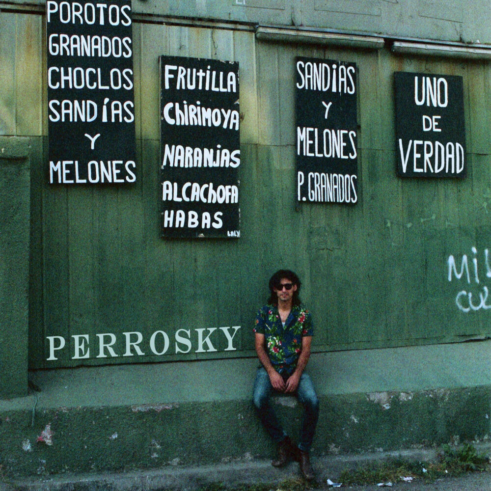  “Uno de Verdad”: el regreso de la banda chilena Perrosky