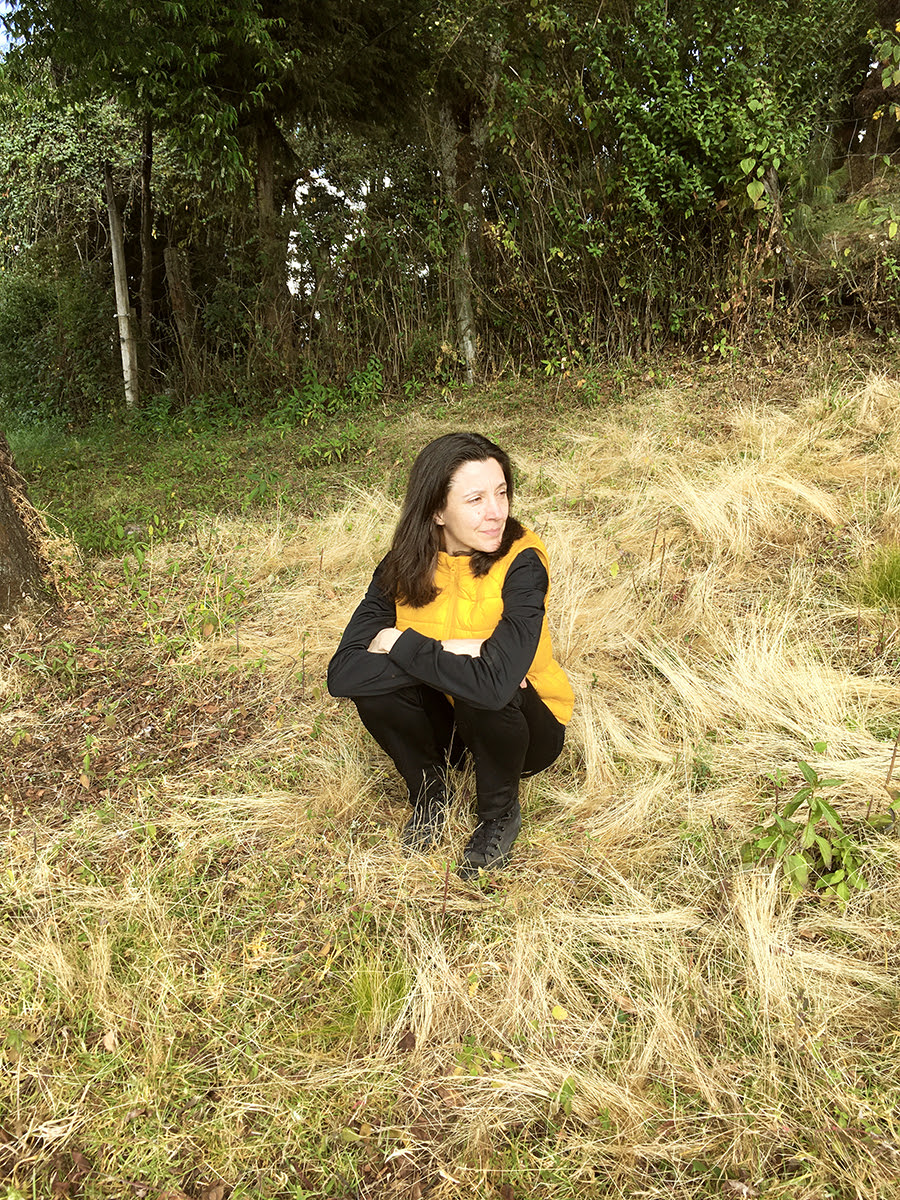  Amina Cyu, el proyecto ambient de Paulina Lasa, estrena hoy Pollination