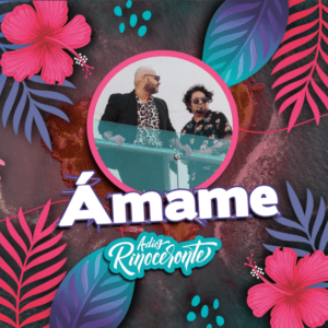 Adiós Rinoceronte adelanta su segundo single