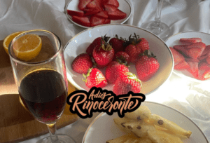 Adiós Rinoceronte y su nuevo video