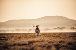 El nuevo sencillo de Pahua feat. Gizmo Varillas