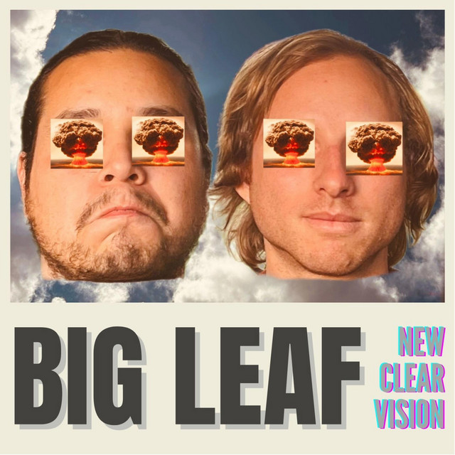 cover Big Leaf New Clear Vision