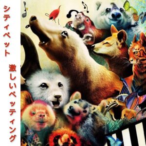 Escucha “Heavy Petting”, EP de City Pets