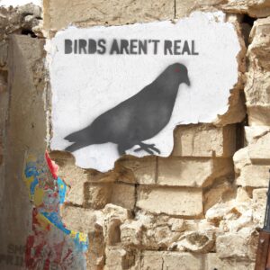 Escucha el EP “Birds Aren’t Real” de Shaven Primates
