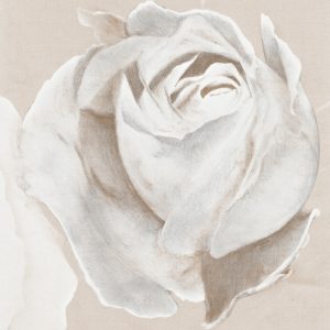 Jazz, positividad y un clásico atemporal.