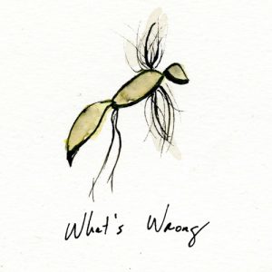 Música que deberías escuchar…