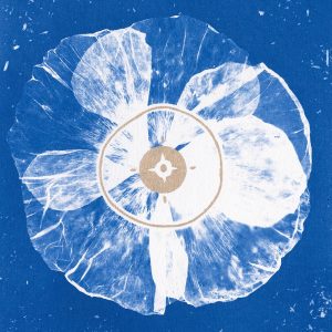 ¡Del mundo, para ti! Un lugar extenso