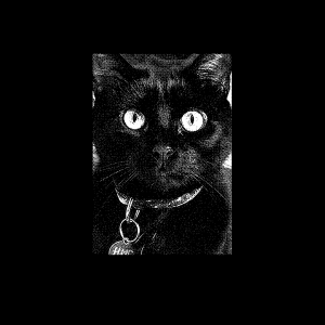 Escucha “Liquor Store Stories”, el álbum debut de Human Missile Crisis