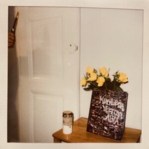 Sinergia, innovación y sorpresa.