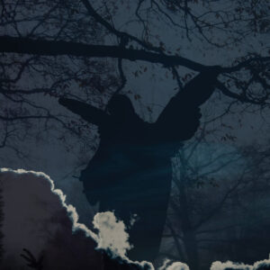 Baladas, tonadas y muchas otras cantadas.