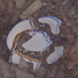 Nuevas Recomendaciones