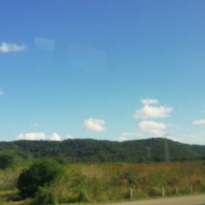 Fer O. fusiona folk, alternativo y rock latino en “Almagamma”