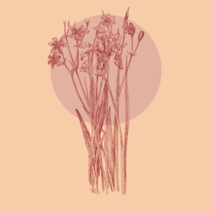 Les dejamos unas rolas que están geniales.