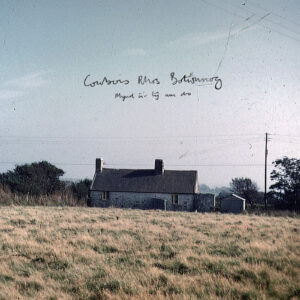 Descubre el Encanto de “Mynd â’r tŷ am dro”: El nuevo álbum de Cowbois Rhos Botwnnog