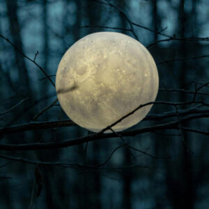 Descubre lo nuevo en música en este fin de semana largo