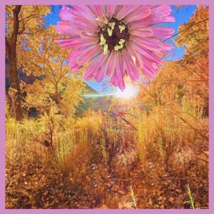 Descubre lo mejor del indie: nuevos sencillos para tu playlist de la semana