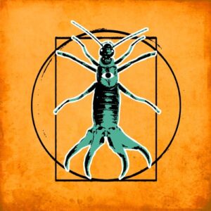 Rock alternativo para gente cool