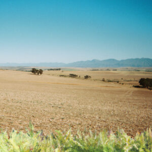 Explorando Nuevos Sonidos: Singles recientes de Indie alrededor del mundo