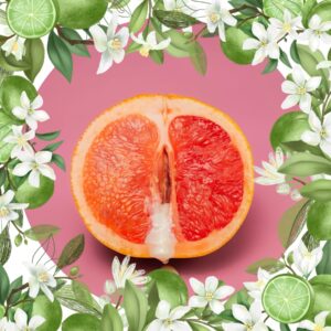 Descubre los Nuevos Sencillos de Neodym, Psydecar, Holding Hour y Black Sun