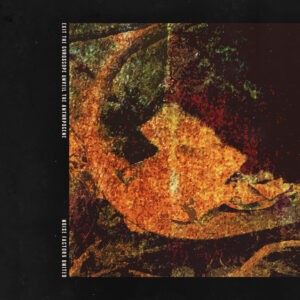 Reflexiones Musicales: Del Cambio Climático al Amor Inquebrantable