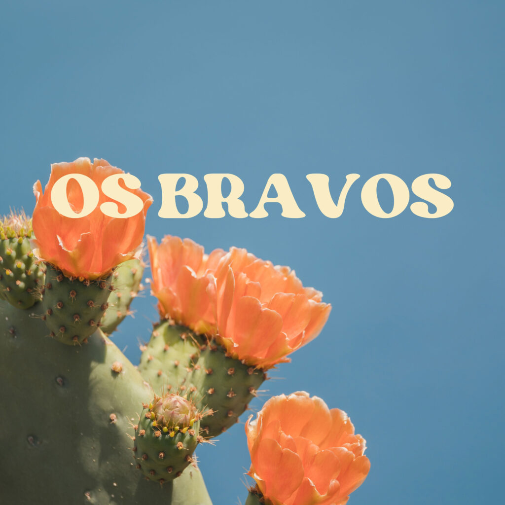 cover single art TSUNAMIZ Os Bravos