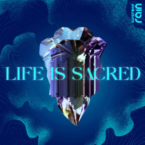 Explorando Nuevos Horizontes Musicales: Indie, Dream Pop y Metal Alternativo