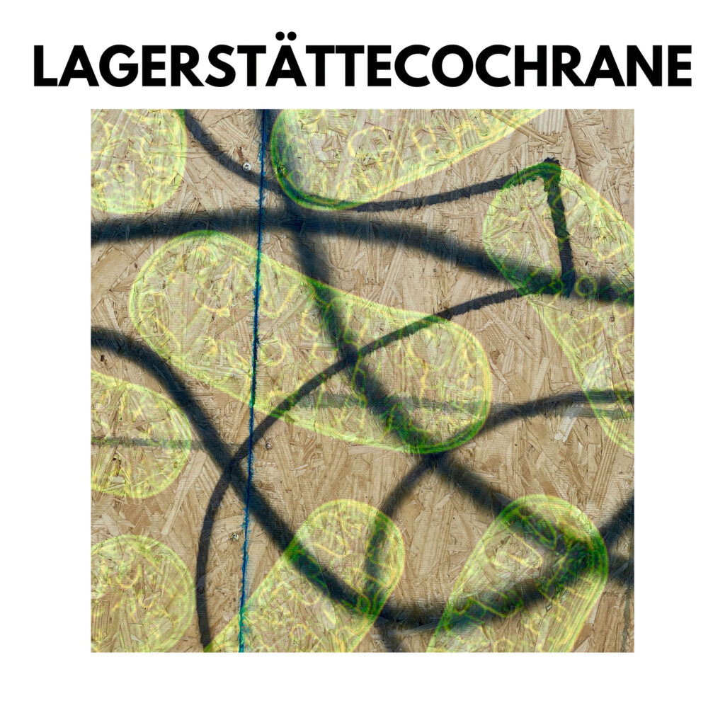 cover EP art Cochrane Lagerstatte