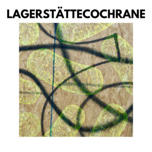 Explorando la Profundidad Musical de Cochrane en “Lagerstätte”