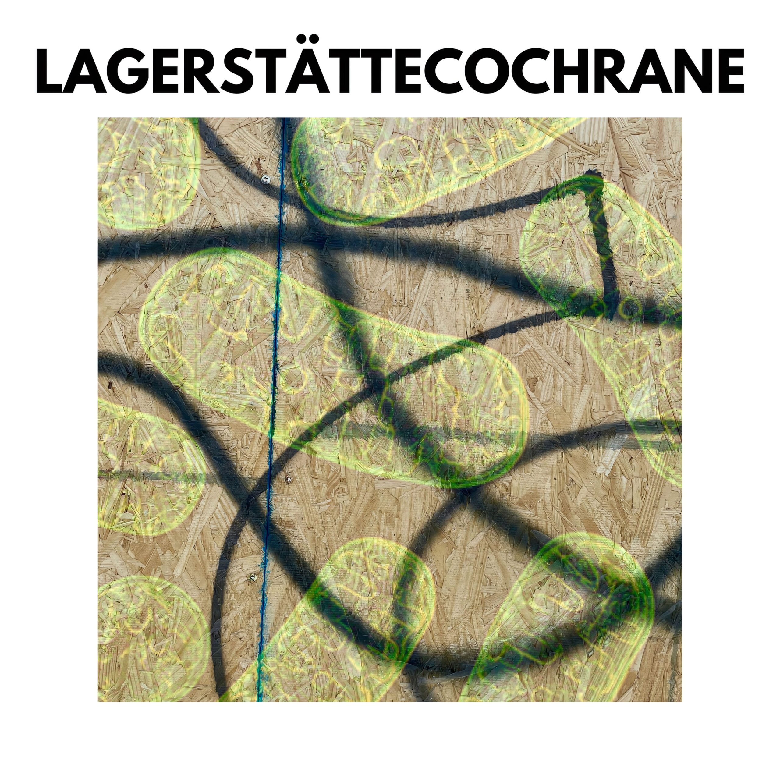  Explorando la Profundidad Musical de Cochrane en “Lagerstätte”