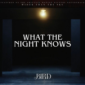  “What The Night Knows” de Bird: Un Viaje Hipnótico Entre la Realidad y el Sueño”