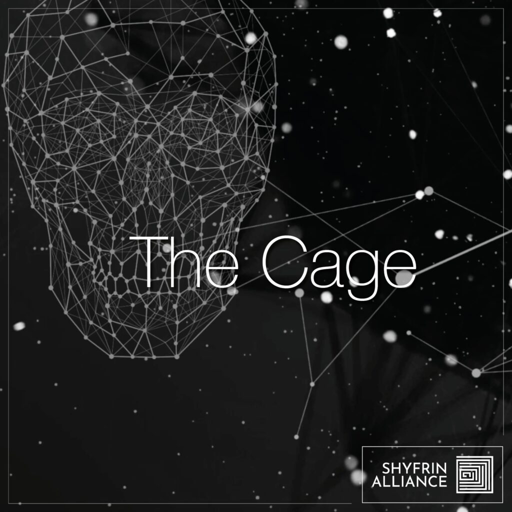 cover single art Shyfrin Alliance The Cage