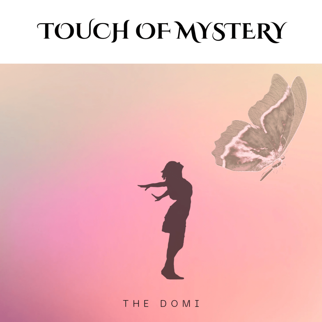 cover single art THE DOMI Touch of mystery