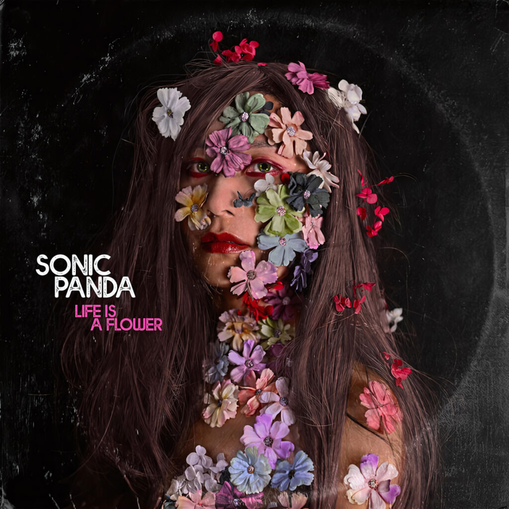 cover single art Sonic Panda Life Is A Flower