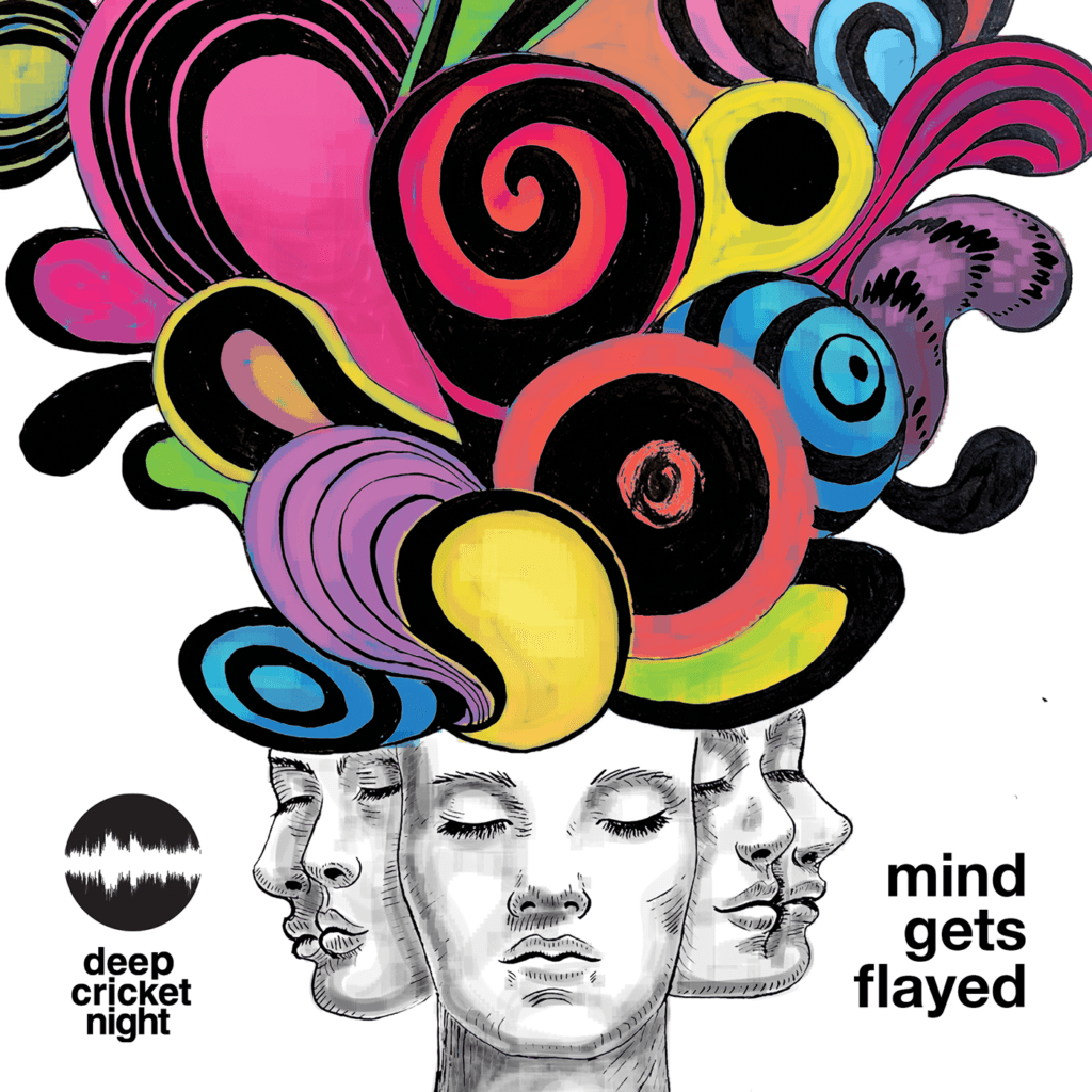 cover EP art Deep Cricket Night Mind Gets Flayed