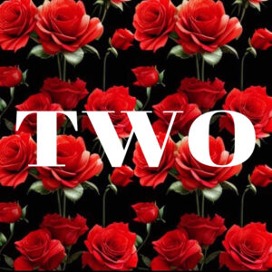 Explorando la Dualidad y Espiritualidad en el álbum “TWO” de Anoush