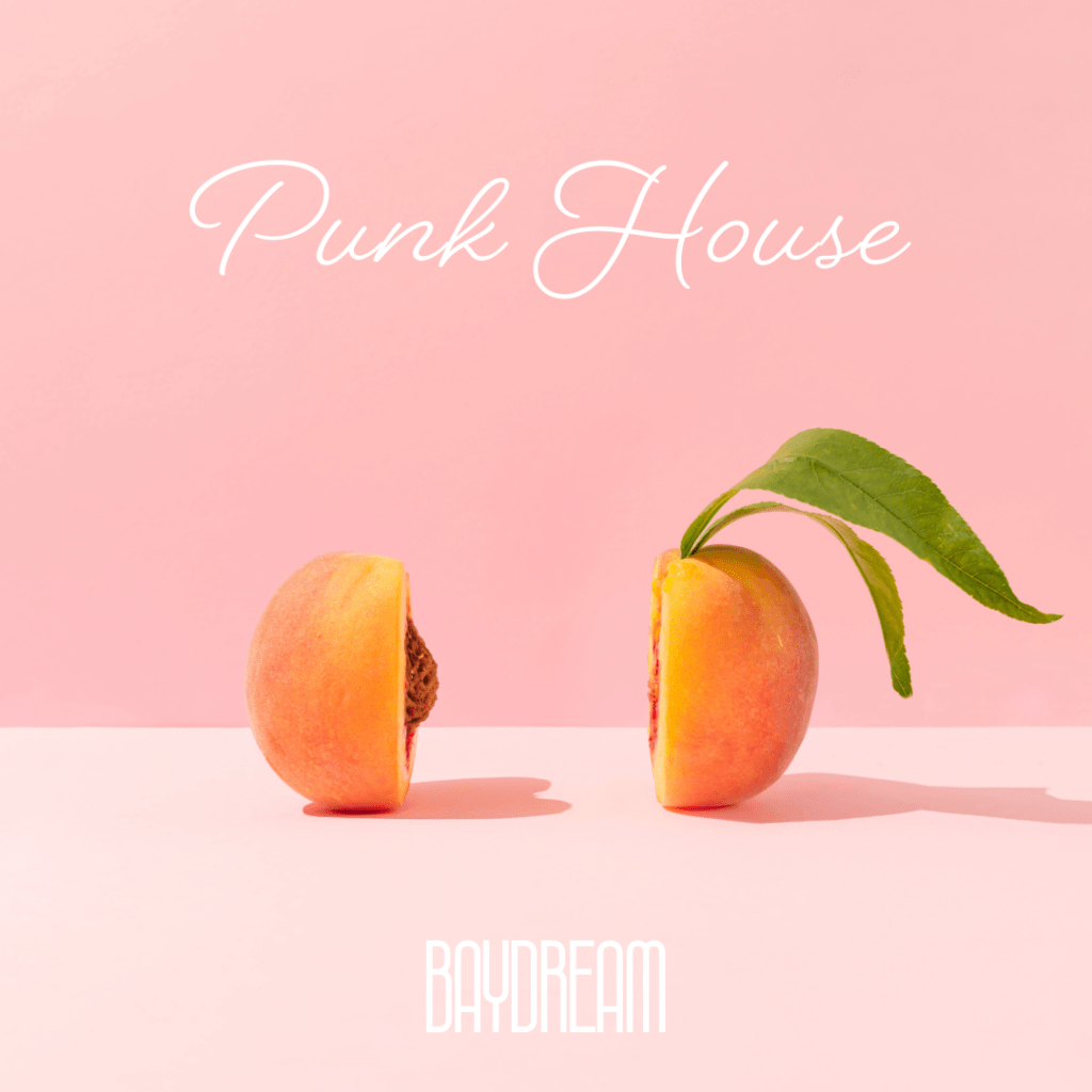 cover album art Baydream Punk House