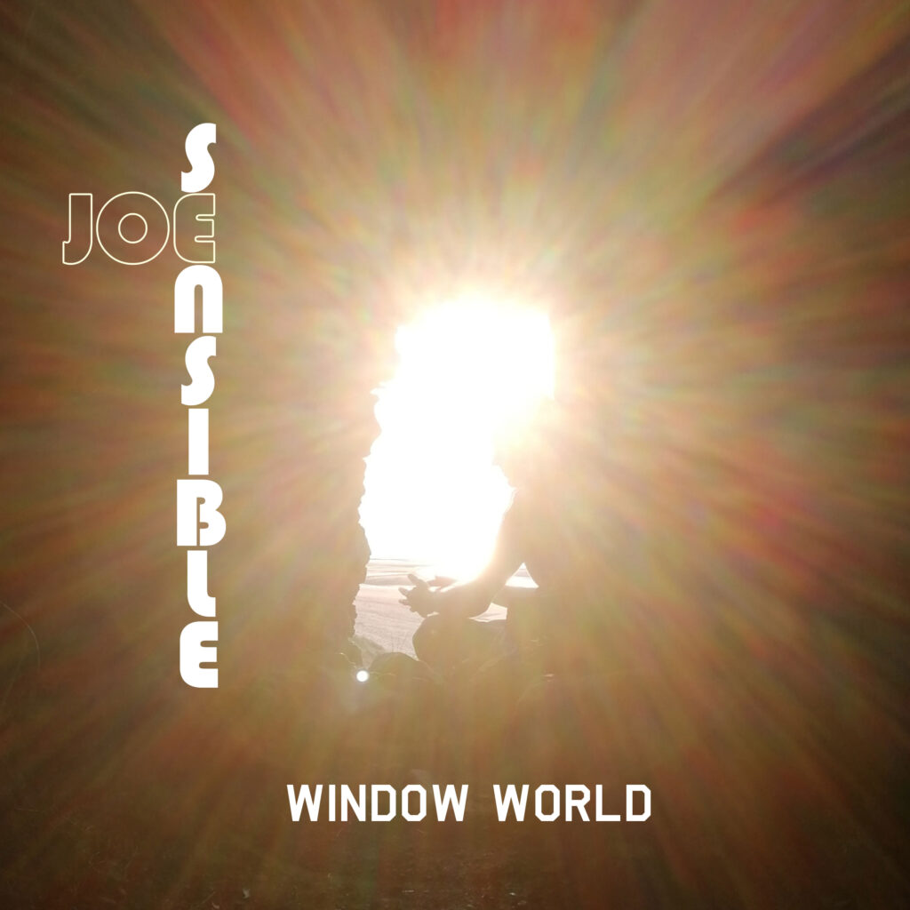 cover single art Joe Sensible Window World