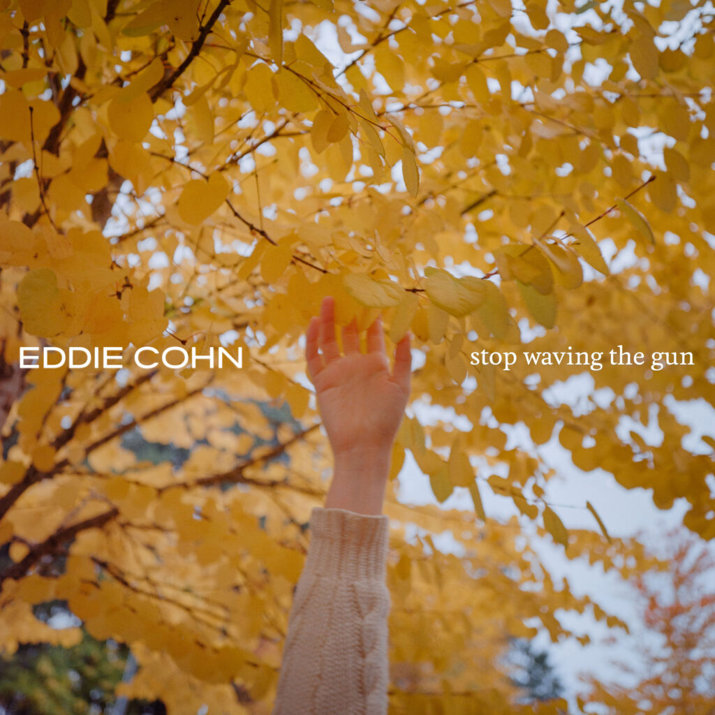 cover single art Eddie Cohn Stop Waving the Gun