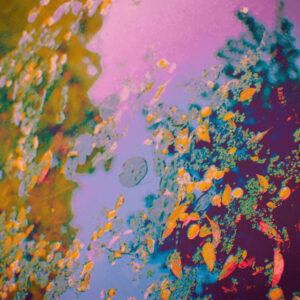 La música sigue sorprendiendo con historias únicas y sonidos innovadores.