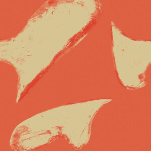 Noventa Mundos y “Cuando Lo Tengas”: Dream Pop mexicano con toques de shoegaze y melancolía