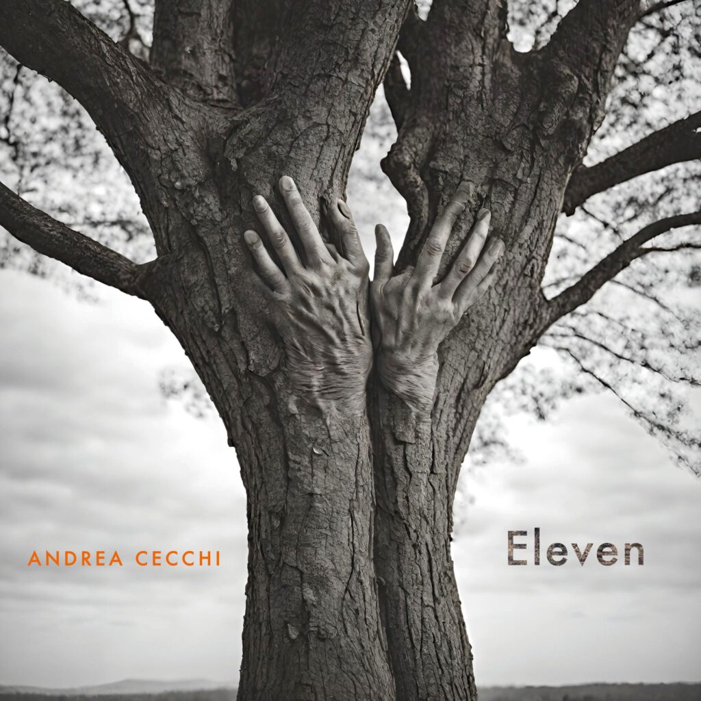 cover album art Andrea Cecchi ELEVEN