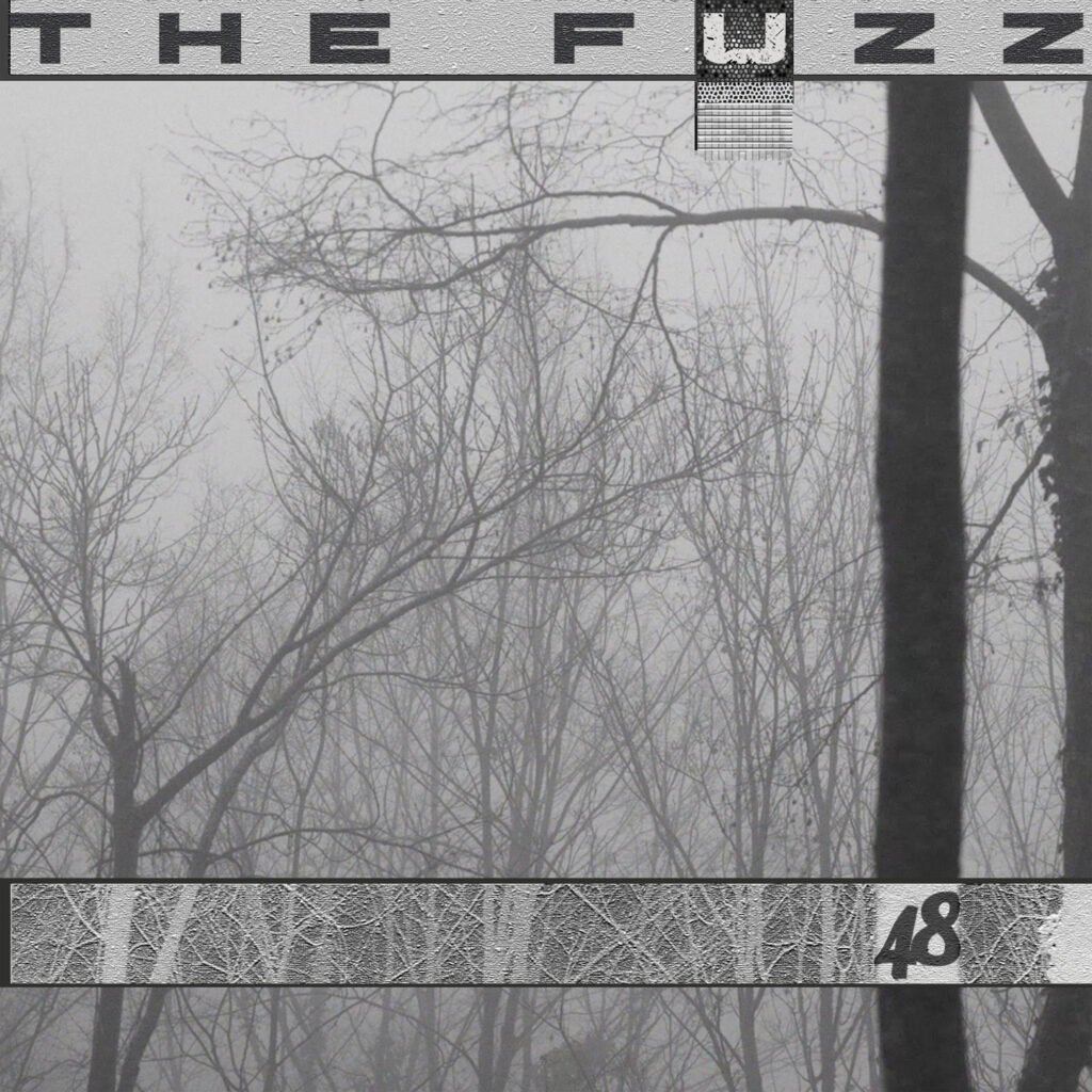 cover single art The Fuzz