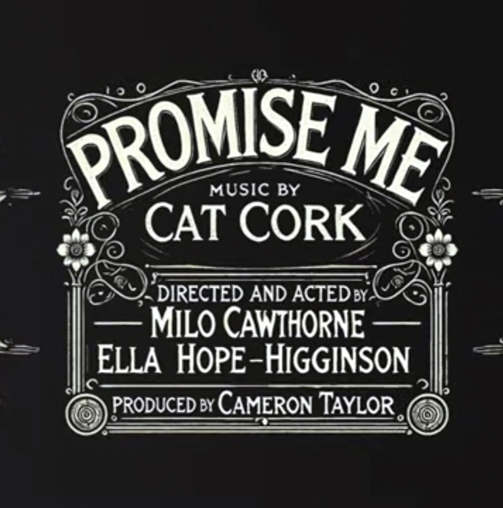 cover single art Cat Cork Promise Me