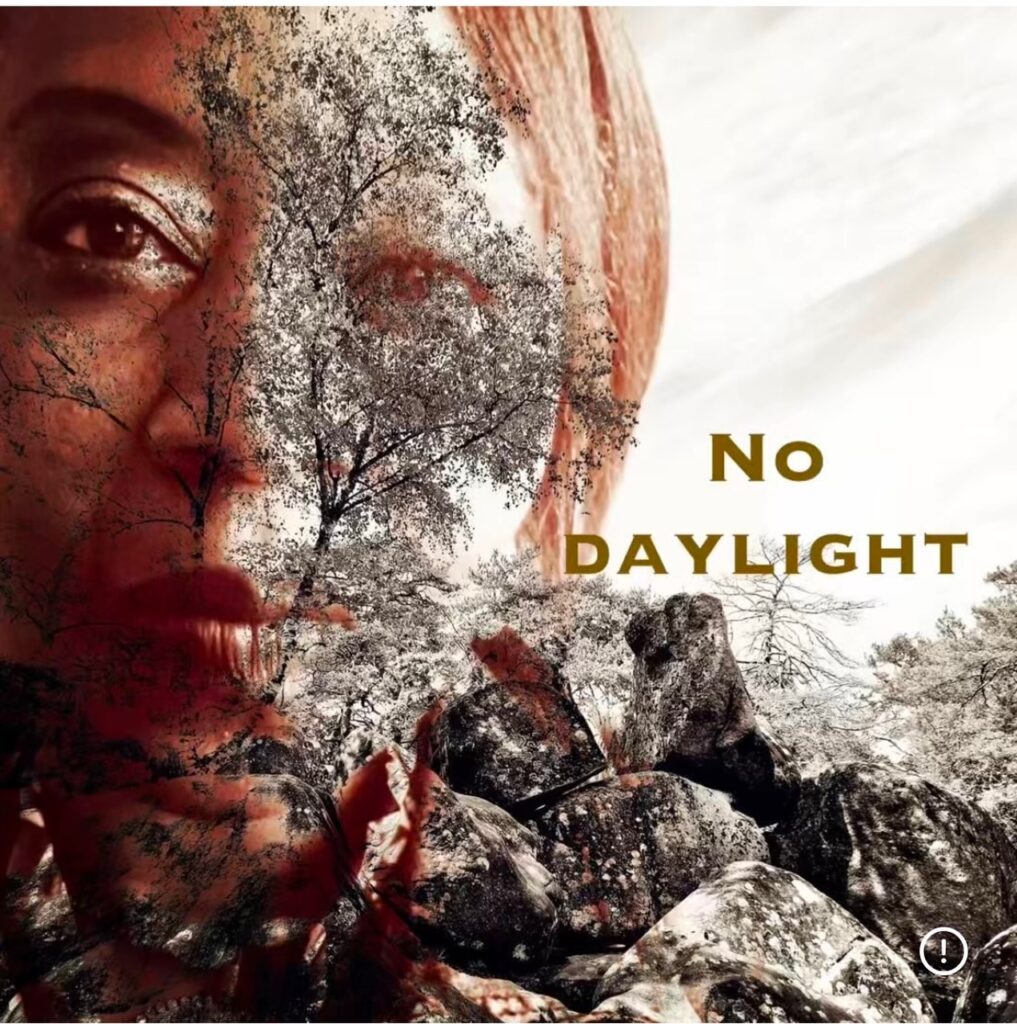 cover single art Fiona Amaka No Daylight