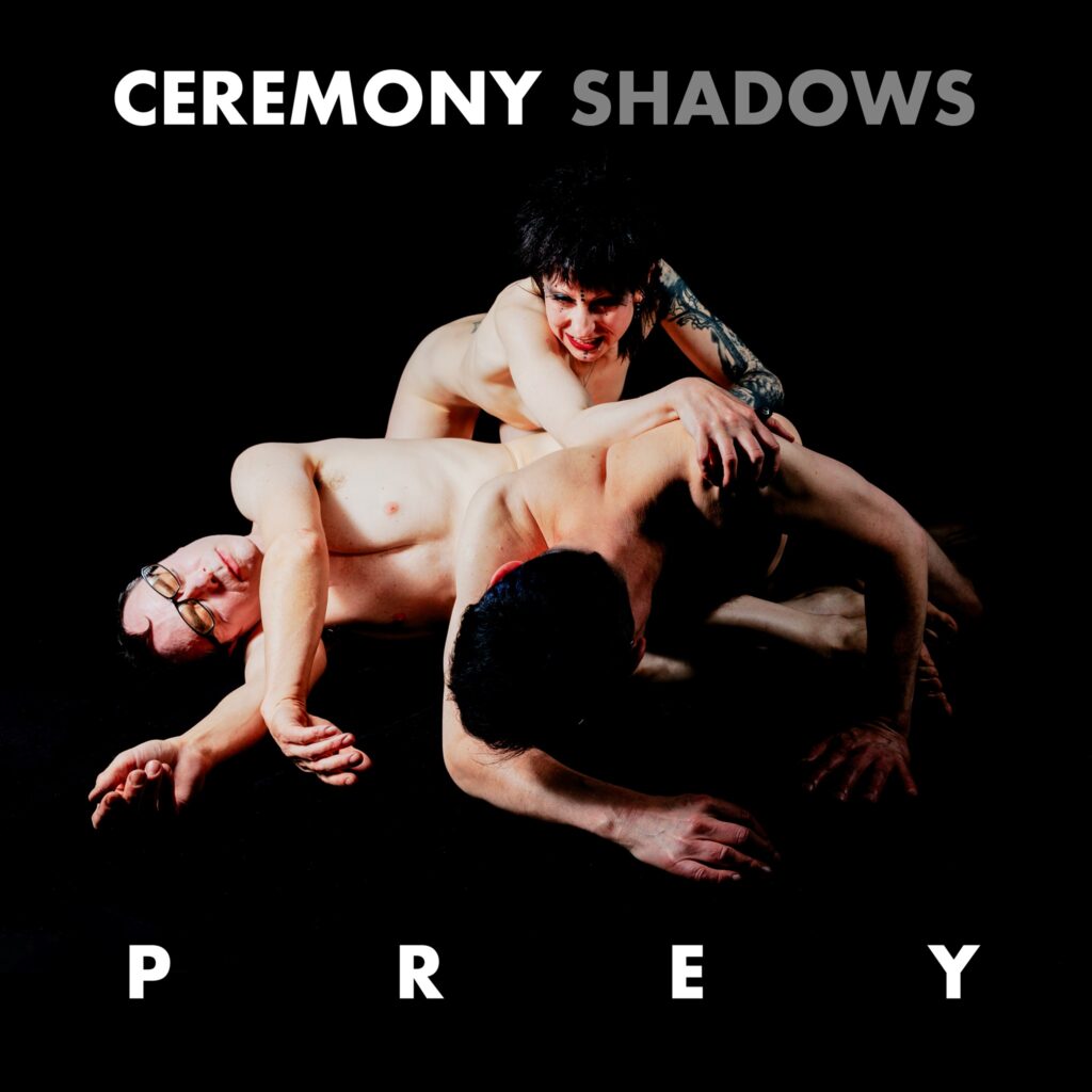 Ceremony Shadows Ascension album cover mosaic