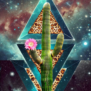 Desde el Stoner Rock al Pop Folk: Historias de Rebeldía, Raíces y Renacimiento