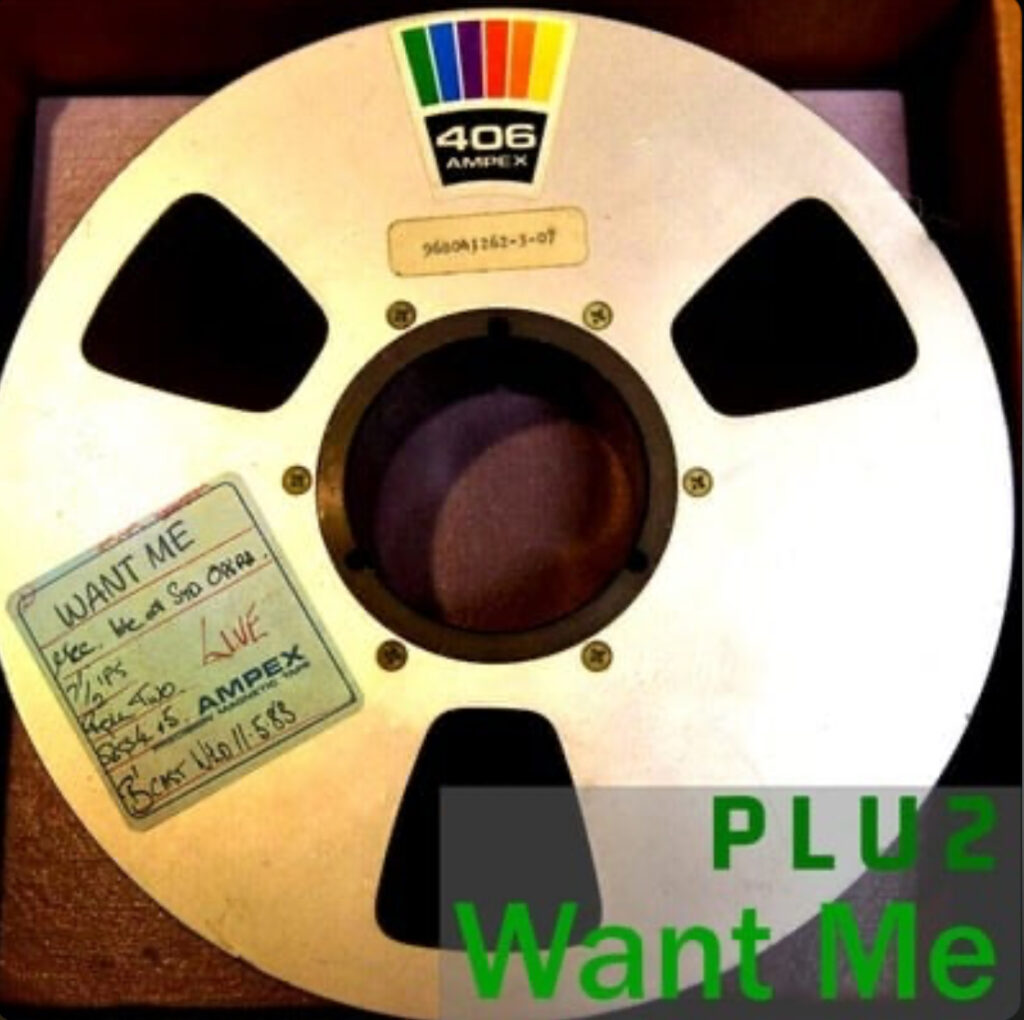 cover single art Plu Want Me