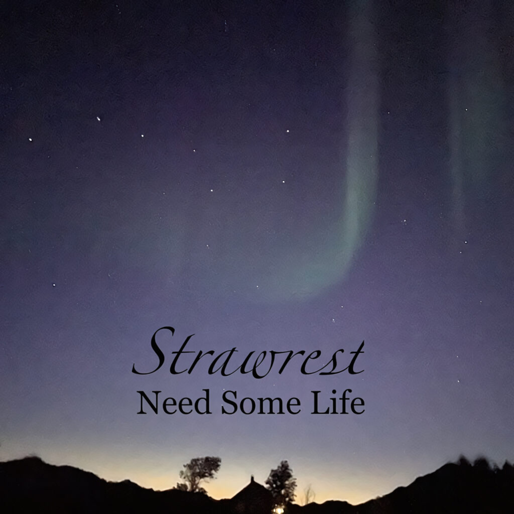 cover single art Strawrest Need Some Life