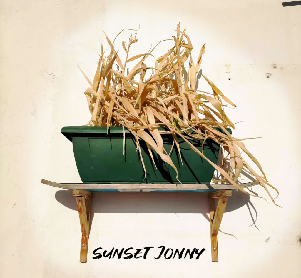 cover single art Sunset Jonny Unicorn