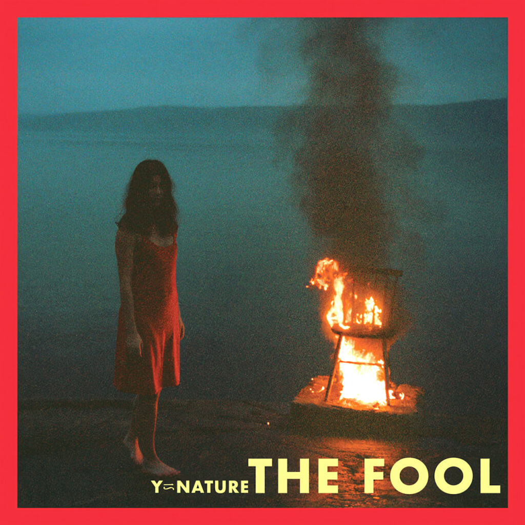 cover single art Y is Nature The Fool